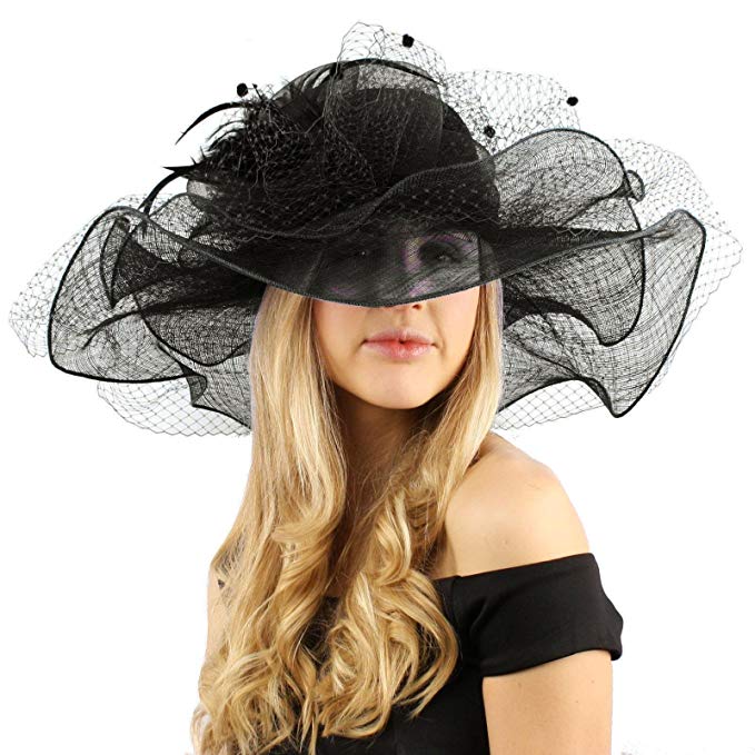 Flirty Netted Overlay Simamay Feathers Derby Floppy 6